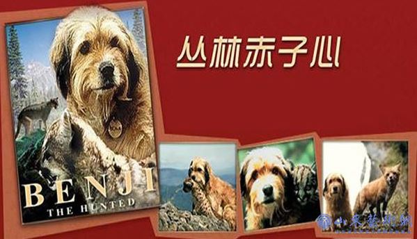 微信图片_20200601102607.png 微信图片_20200601102607.png