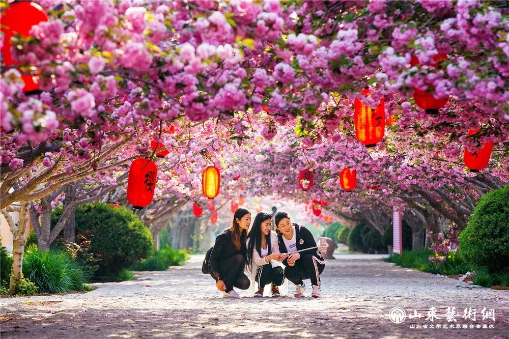 《樱花村落》 张景国.jpg 《樱花村落》 张景国.jpg