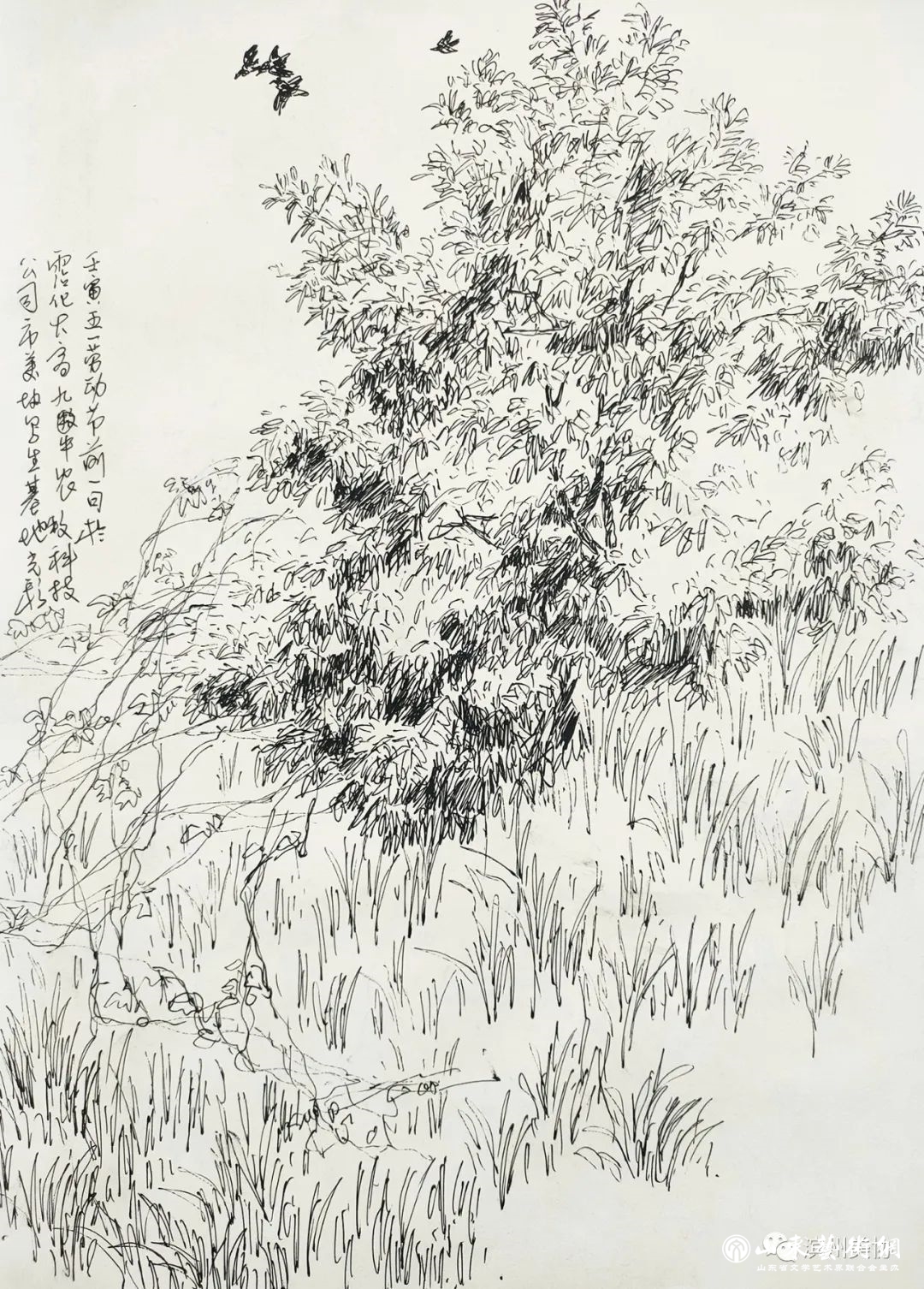 60004.jpg 60004.jpg