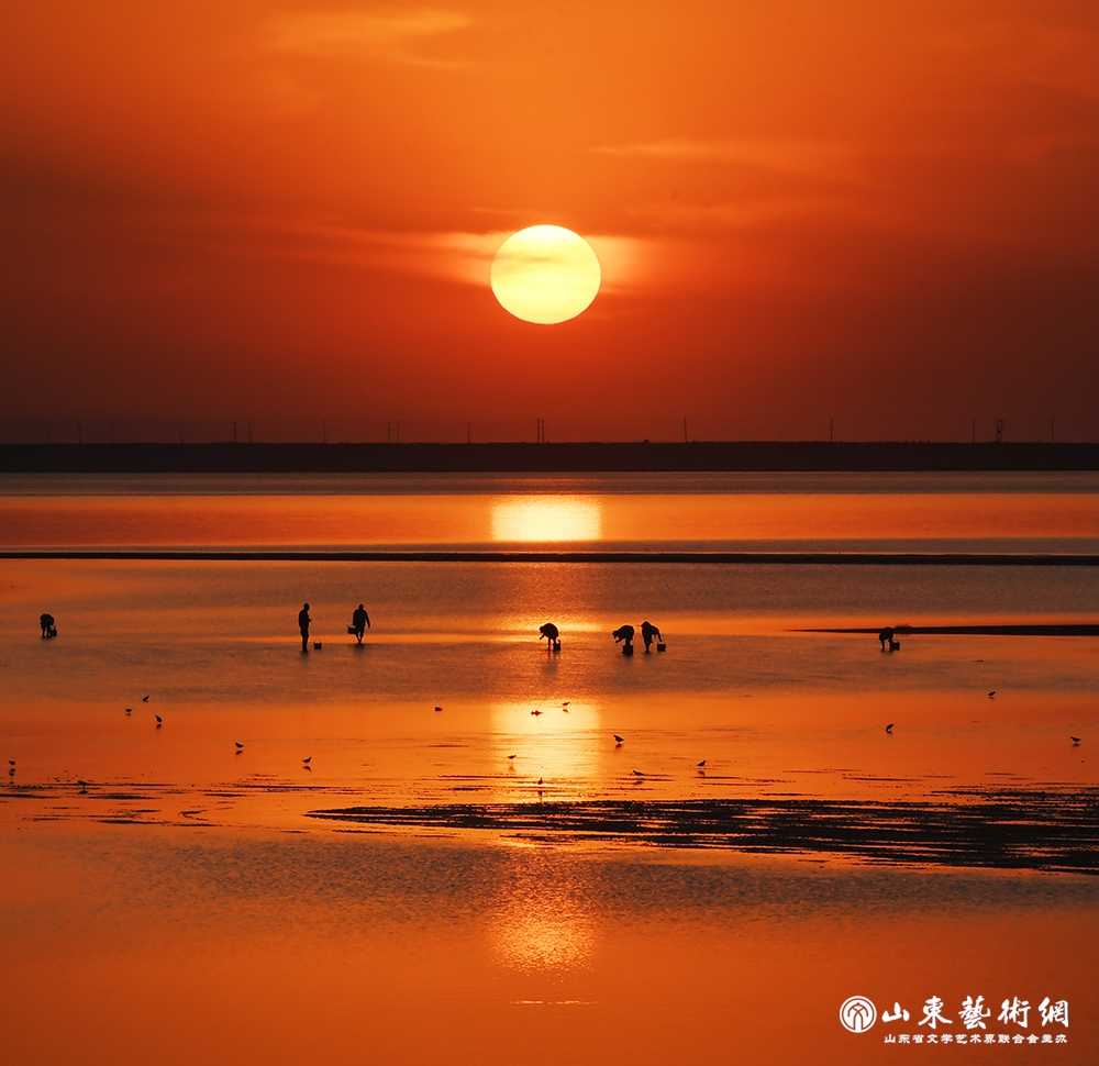 莱州 高远 (2).jpg