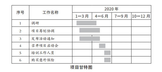 10项目甘特图.png