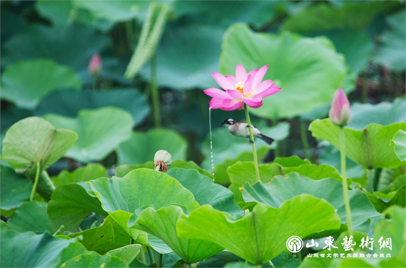 微信图片_20250630105212.png