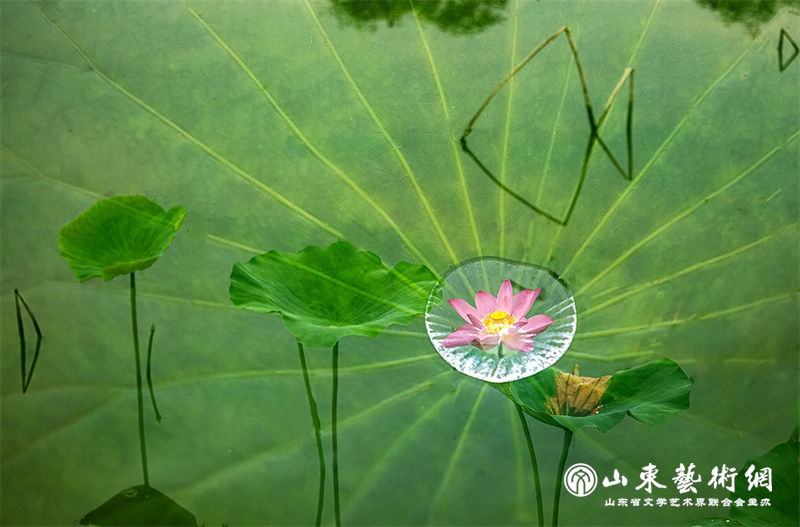 微信图片_20250630105105.jpg