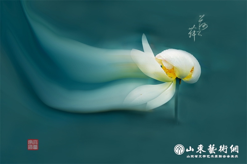 微信图片_20250701171912.jpg