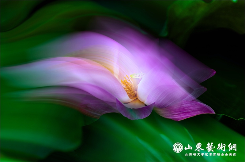 微信图片_20250630113337.png