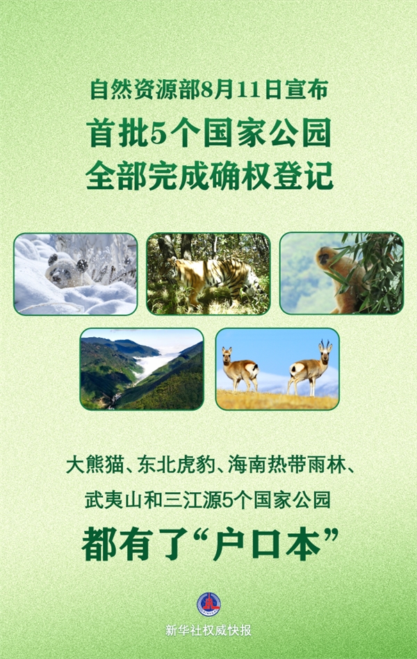 202508110f51a54b662b4e2fad2e10df565e429e_6f8152ad24604b2591e818bd406404d1.png