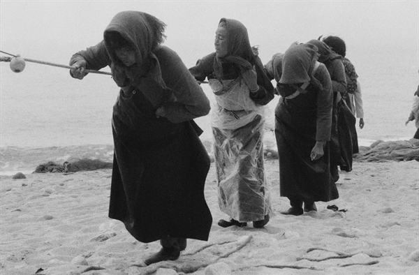 文字文稿24605.png